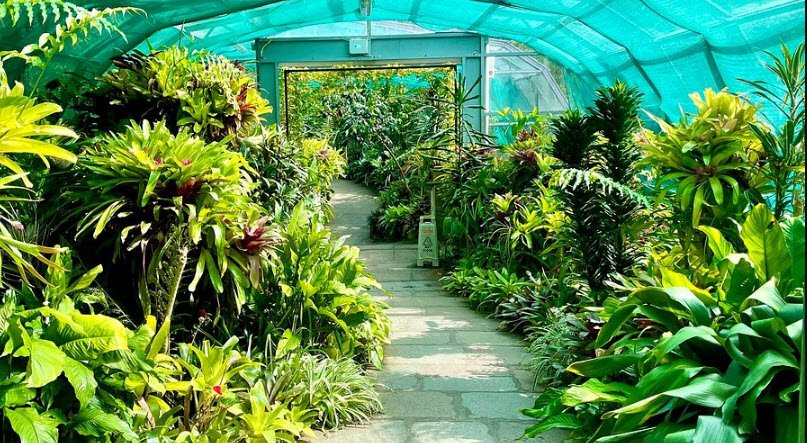 Duthie Park, United Kingdom